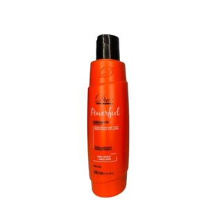 DUE COSMETICOS SHAMPOO PAWERFUL HOME CAR TRATAMENTO 300ML